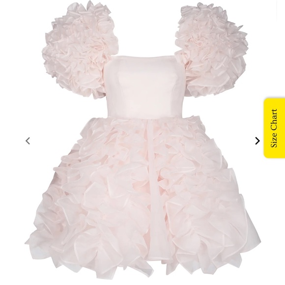 Selkie The Strawberry Milk Paris Dress - Picture 15 of 16